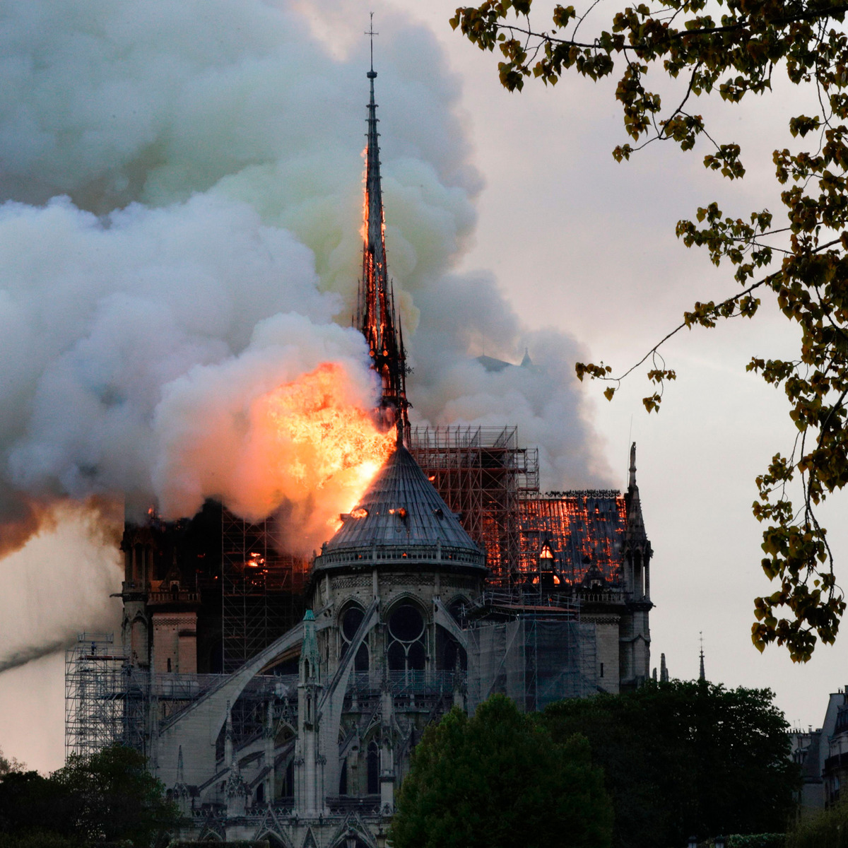 Notre dame varg Blank Meme Template