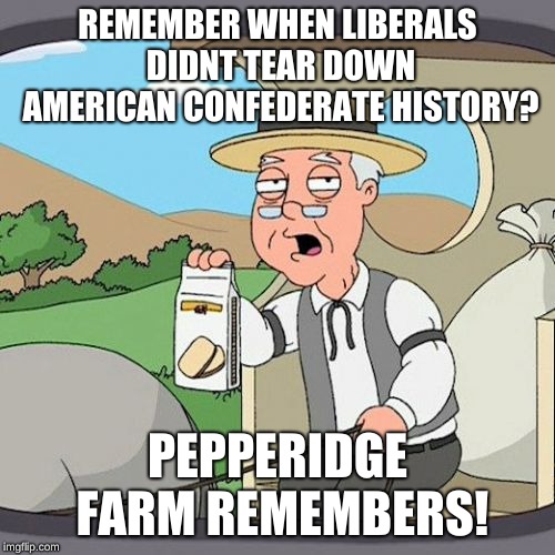 Pepperidge Farm Remembers | REMEMBER WHEN LIBERALS DIDNT TEAR DOWN AMERICAN CONFEDERATE HISTORY? PEPPERIDGE FARM REMEMBERS! | image tagged in memes,pepperidge farm remembers | made w/ Imgflip meme maker