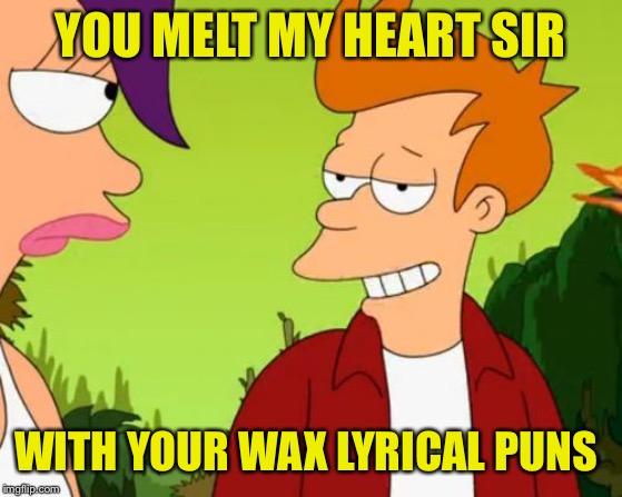 Slick Fry Meme | YOU MELT MY HEART SIR WITH YOUR WAX LYRICAL PUNS | image tagged in memes,slick fry | made w/ Imgflip meme maker