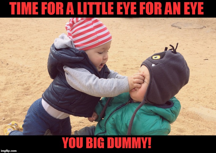 Don't mess around with Waldo's kid or it's coitins! | TIME FOR A LITTLE EYE FOR AN EYE; YOU BIG DUMMY! | image tagged in kids fighting,memes,nixieknox | made w/ Imgflip meme maker