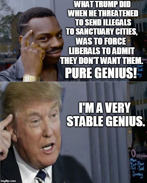 Liberal politicians that is... | WHAT TRUMP DID WHEN HE THREATENED TO SEND ILLEGALS TO SANCTUARY CITIES, WAS TO FORCE LIBERALS TO ADMIT THEY DON'T WANT THEM. PURE GENIUS! I'M A VERY STABLE GENIUS. | image tagged in memes,thinking trump,thinking black guy,stable genius,sanctuary cities,illegal immigrants | made w/ Imgflip meme maker