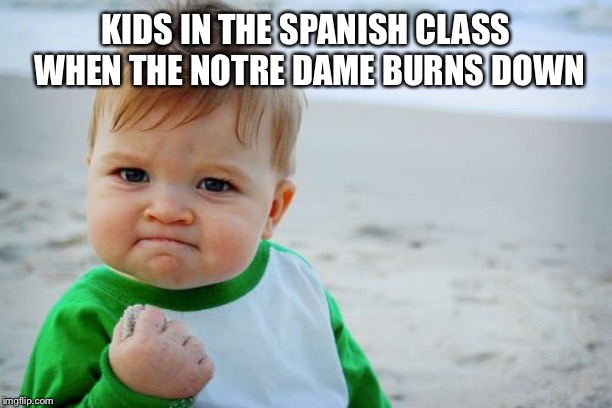 Success Kid Original | KIDS IN THE SPANISH CLASS WHEN THE NOTRE DAME BURNS DOWN | image tagged in memes,success kid original | made w/ Imgflip meme maker