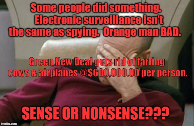 Captain Picard Facepalm | Some people did something.
 
Electronic surveillance isn’t the same as spying.

Orange man BAD. Green New Deal gets rid of farting cows & airplanes @$600,000.00 per person. SENSE OR NONSENSE??? | image tagged in memes,captain picard facepalm | made w/ Imgflip meme maker