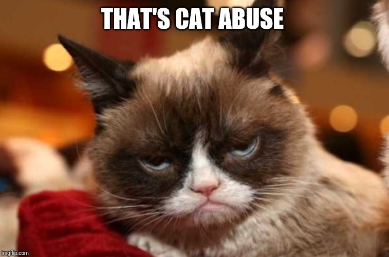 THAT'S CAT ABUSE | made w/ Imgflip meme maker