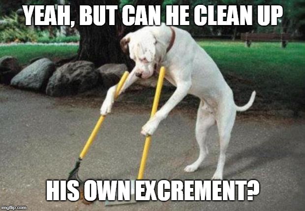 Dog poop | YEAH, BUT CAN HE CLEAN UP HIS OWN EXCREMENT? | image tagged in dog poop | made w/ Imgflip meme maker