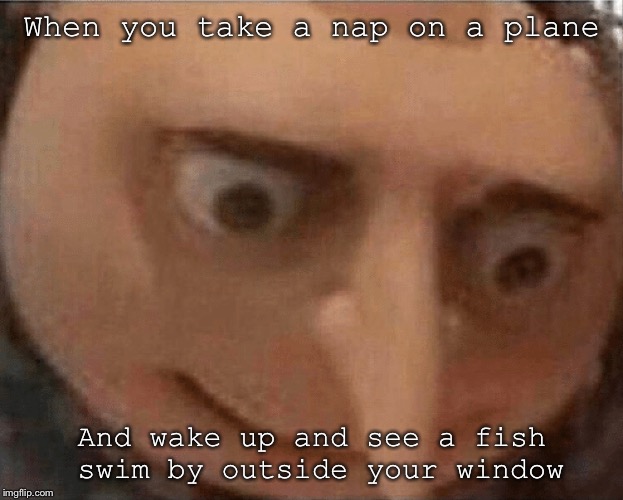 uh oh Gru | When you take a nap on a plane; And wake up and see a fish swim by outside your window | image tagged in uh oh gru | made w/ Imgflip meme maker