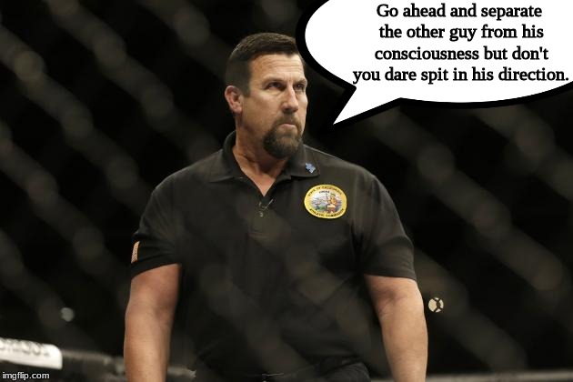 MMA refs be like . . . . | Go ahead and separate the other guy from his consciousness but don't you dare spit in his direction. | image tagged in mma,sports,memes | made w/ Imgflip meme maker