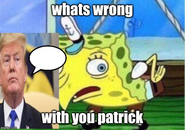 hhaha | whats wrong; with you patrick | image tagged in politics | made w/ Imgflip meme maker