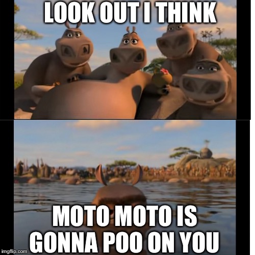 Moto Moto | LOOK OUT I THINK; MOTO MOTO IS GONNA POO ON YOU | image tagged in moto moto | made w/ Imgflip meme maker