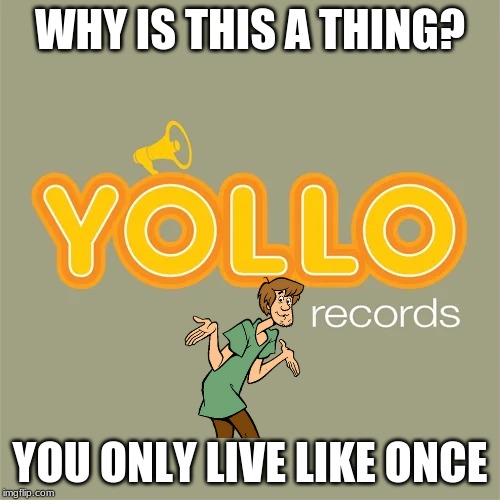 You Only Live Like Once | WHY IS THIS A THING? YOU ONLY LIVE LIKE ONCE | image tagged in scooby doo,shaggy,yollo,yolo,i want food,meme meme | made w/ Imgflip meme maker