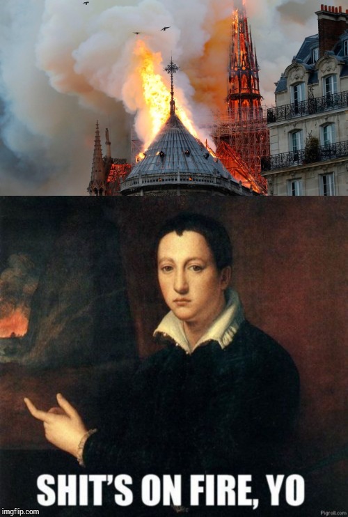 Too soon? | image tagged in notre dame | made w/ Imgflip meme maker
