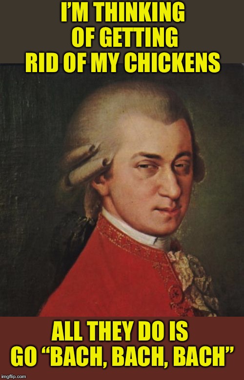 Mozart not sure he can Handel it? | I’M THINKING OF GETTING RID OF MY CHICKENS; ALL THEY DO IS GO “BACH, BACH, BACH” | image tagged in mozart not sure,katechuks,anti joke chicken,front page,chickens,free range | made w/ Imgflip meme maker