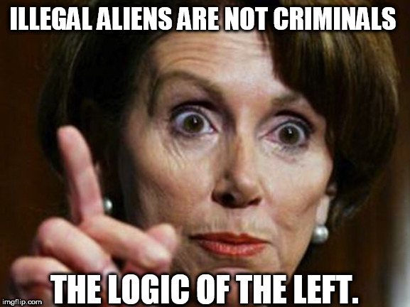 Nancy Pelosi No Spending Problem | ILLEGAL ALIENS ARE NOT CRIMINALS; THE LOGIC OF THE LEFT. | image tagged in nancy pelosi no spending problem | made w/ Imgflip meme maker