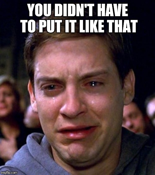 crying peter parker | YOU DIDN'T HAVE TO PUT IT LIKE THAT | image tagged in crying peter parker | made w/ Imgflip meme maker