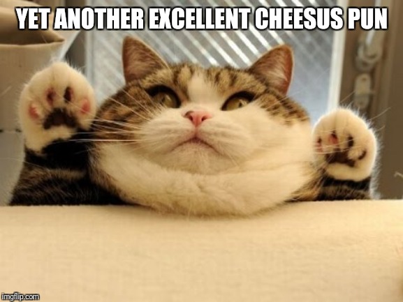 Cat This Awesome | YET ANOTHER EXCELLENT CHEESUS PUN | image tagged in cat this awesome | made w/ Imgflip meme maker