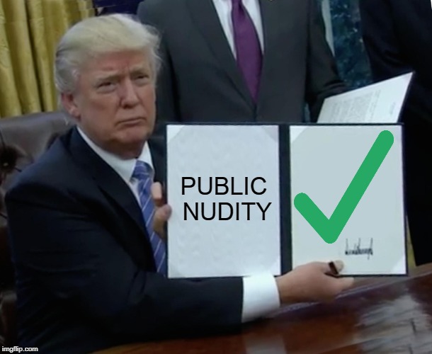 Trump Bill Signing Meme | PUBLIC NUDITY | image tagged in memes,trump bill signing | made w/ Imgflip meme maker