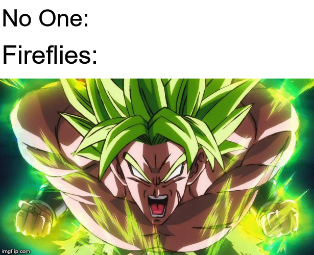 Dragon ball | No One:; Fireflies: | image tagged in nobody | made w/ Imgflip meme maker