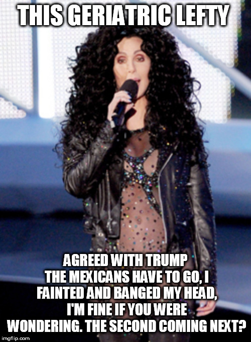 Cher  | THIS GERIATRIC LEFTY; AGREED WITH TRUMP THE MEXICANS HAVE TO GO, I FAINTED AND BANGED MY HEAD, I'M FINE IF YOU WERE WONDERING. THE SECOND COMING NEXT? | image tagged in cher | made w/ Imgflip meme maker