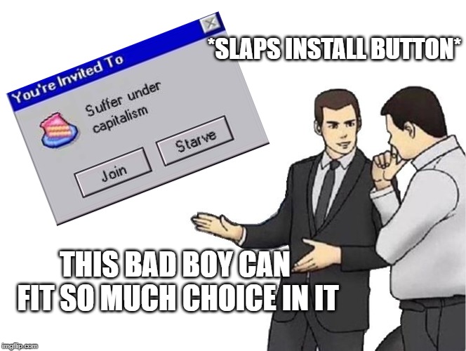 Car Salesman Slaps Hood | *SLAPS INSTALL BUTTON*; THIS BAD BOY CAN FIT SO MUCH CHOICE IN IT | image tagged in memes,car salesman slaps hood | made w/ Imgflip meme maker