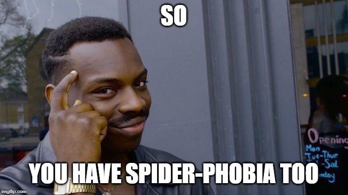Roll Safe Think About It Meme | SO YOU HAVE SPIDER-PHOBIA TOO | image tagged in memes,roll safe think about it | made w/ Imgflip meme maker