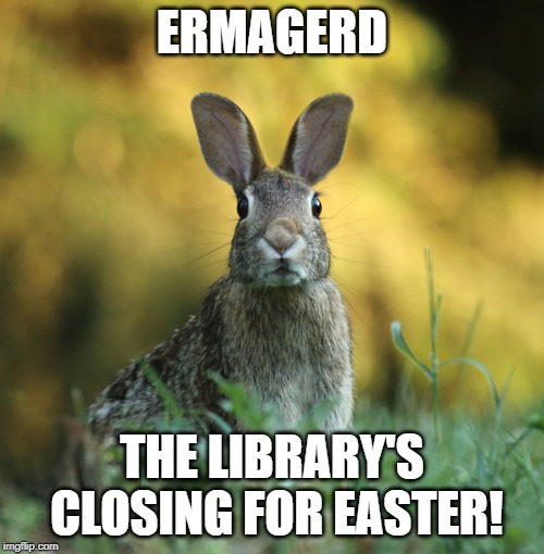 Rabbit | ERMAGERD; THE LIBRARY'S CLOSING FOR EASTER! | image tagged in rabbit | made w/ Imgflip meme maker