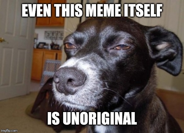 Suspicious dog | EVEN THIS MEME ITSELF IS UNORIGINAL | image tagged in suspicious dog | made w/ Imgflip meme maker