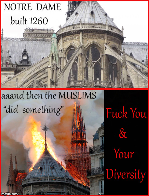 NOTRE DAME-Muslims doing something | image tagged in notre dame fire,politics lol,ilhan omar,lol so funny,current events,political meme | made w/ Imgflip meme maker