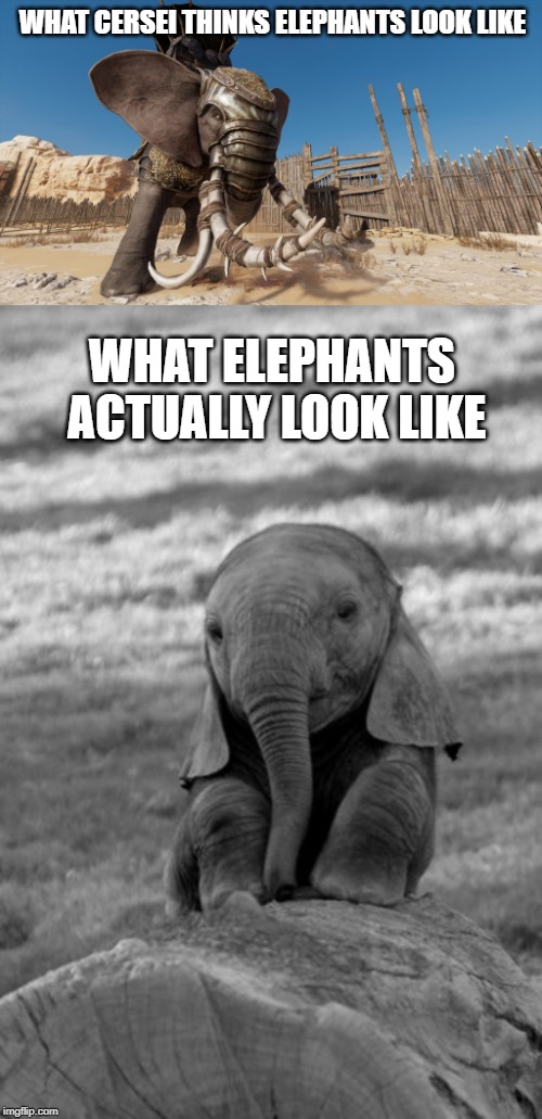 WHAT CERSEI THINKS ELEPHANTS LOOK LIKE; WHAT ELEPHANTS ACTUALLY LOOK LIKE | image tagged in baby elephants are sad | made w/ Imgflip meme maker