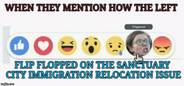 Triggered liberal lefty | WHEN THEY MENTION HOW THE LEFT; FLIP FLOPPED ON THE SANCTUARY CITY IMMIGRATION RELOCATION ISSUE | image tagged in triggered liberal lefty | made w/ Imgflip meme maker