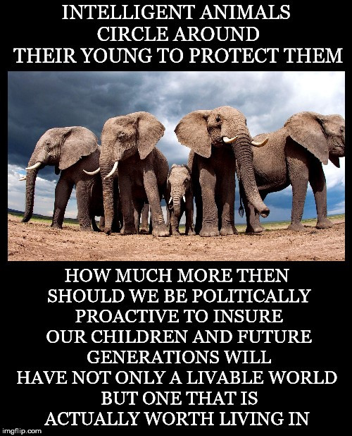 We Can Learn From Them | image tagged in elephants,protect,young,politically,proactive,world | made w/ Imgflip meme maker