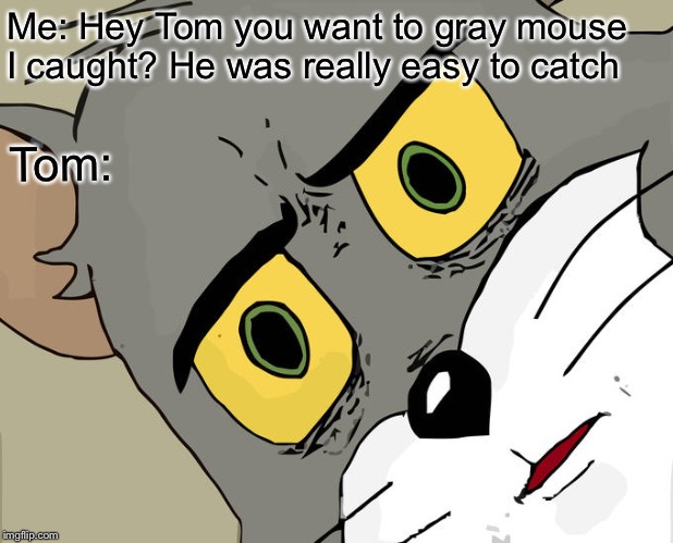 Unsettled Tom Meme | Me: Hey Tom you want to gray mouse I caught? He was really easy to catch; Tom: | image tagged in memes,unsettled tom | made w/ Imgflip meme maker