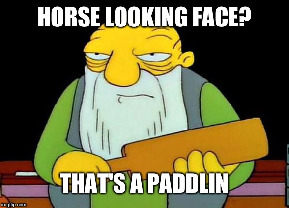 That's a paddlin' Meme | HORSE LOOKING FACE? THAT'S A PADDLIN | image tagged in memes,that's a paddlin' | made w/ Imgflip meme maker