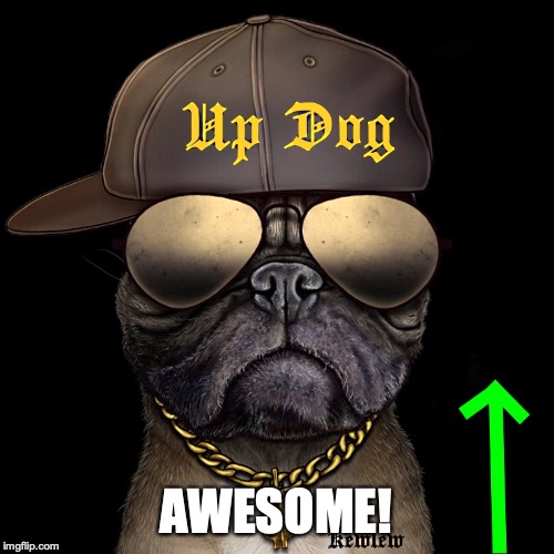 up dog | AWESOME! | image tagged in up dog | made w/ Imgflip meme maker