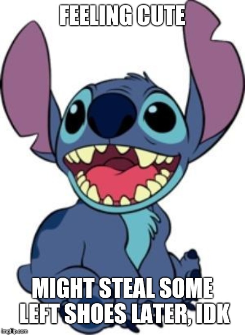 Stitch | FEELING CUTE; MIGHT STEAL SOME LEFT SHOES LATER, IDK | image tagged in stitch | made w/ Imgflip meme maker