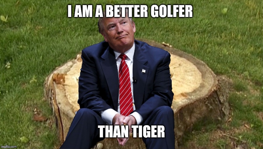 Trump on a stump | I AM A BETTER GOLFER; THAN TIGER | image tagged in trump on a stump | made w/ Imgflip meme maker