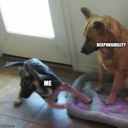 RESPONSIBILITY; ME | image tagged in derp doge,running,problems,responsibility,dogs | made w/ Imgflip meme maker