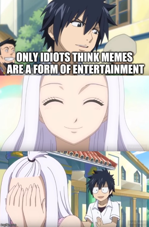 Gray Insults Mirajane | ONLY IDIOTS THINK MEMES ARE A FORM OF ENTERTAINMENT | image tagged in fairy tail,gray,mirajane,insult | made w/ Imgflip meme maker