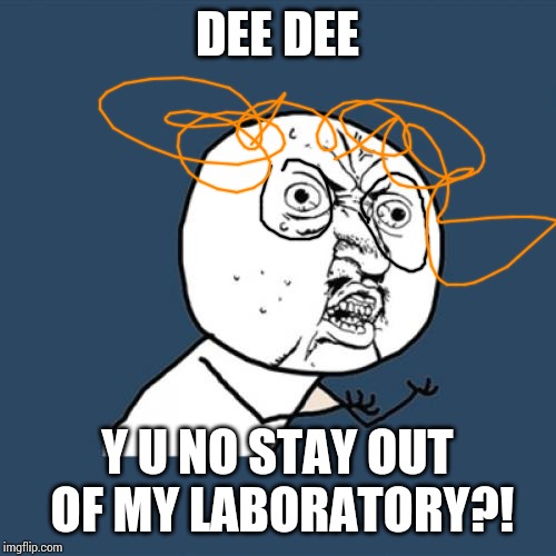 Y U No Meme | DEE DEE Y U NO STAY OUT OF MY LABORATORY?! | image tagged in memes,y u no | made w/ Imgflip meme maker