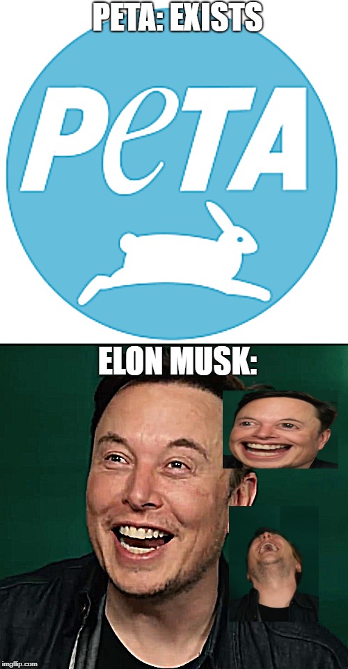 This was a musktake | PETA: EXISTS; ELON MUSK: | image tagged in elon musk | made w/ Imgflip meme maker