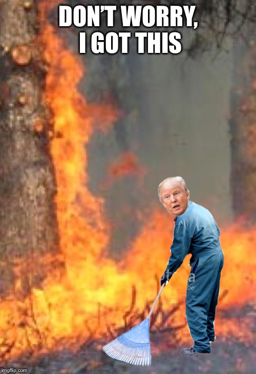 Raking Trump | DON’T WORRY, I GOT THIS | image tagged in raking trump | made w/ Imgflip meme maker