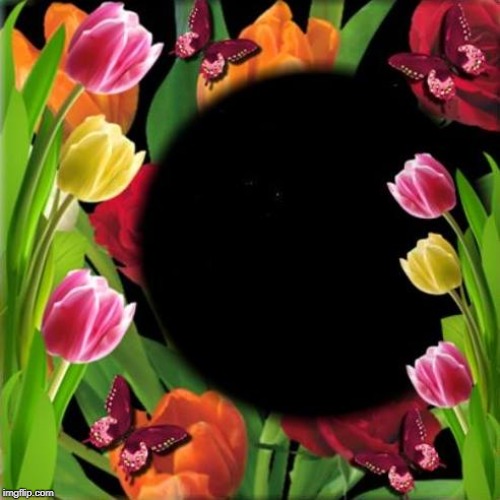 Flower Frame | image tagged in flower frame | made w/ Imgflip meme maker