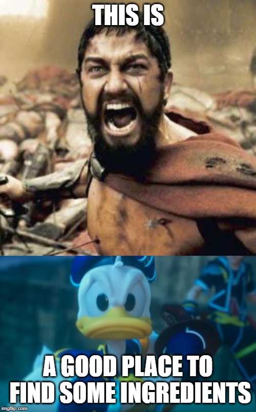 A good place to find some ingredients | THIS IS; A GOOD PLACE TO FIND SOME INGREDIENTS | image tagged in this is sparta,donald duck,kingdom hearts | made w/ Imgflip meme maker