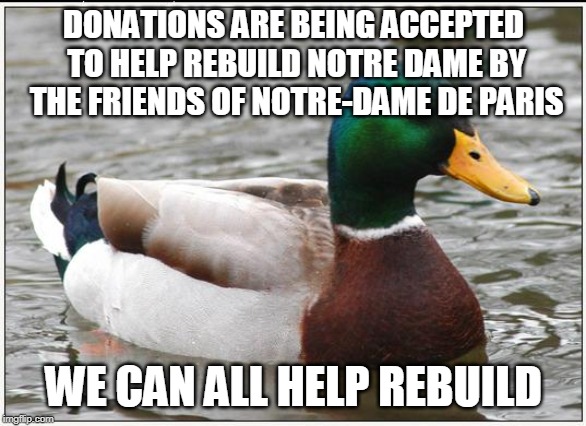 Actual Advice Mallard | DONATIONS ARE BEING ACCEPTED TO HELP REBUILD NOTRE DAME BY THE FRIENDS OF NOTRE-DAME DE PARIS; WE CAN ALL HELP REBUILD | image tagged in memes,actual advice mallard | made w/ Imgflip meme maker