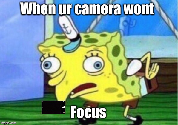 Mocking Spongebob | When ur camera wont; Focus | image tagged in memes,mocking spongebob | made w/ Imgflip meme maker