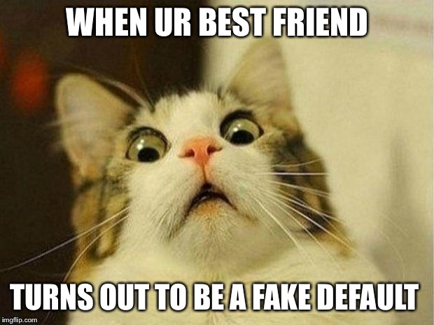 Scared Cat Meme | WHEN UR BEST FRIEND; TURNS OUT TO BE A FAKE DEFAULT | image tagged in memes,scared cat | made w/ Imgflip meme maker