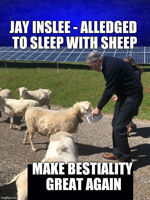 MAKE BESTIALITY GREAT AGAIN JAY INSLEE - ALLEDGED TO SLEEP WITH SHEEP | made w/ Imgflip meme maker