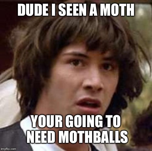 Conspiracy Keanu Meme | DUDE I SEEN A MOTH; YOUR GOING TO NEED MOTHBALLS | image tagged in memes,conspiracy keanu | made w/ Imgflip meme maker