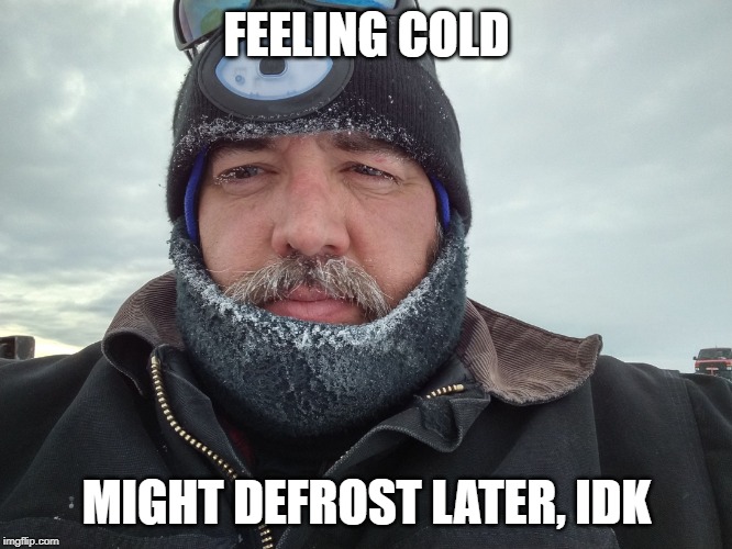 Antarctica | FEELING COLD; MIGHT DEFROST LATER, IDK | image tagged in antarctica | made w/ Imgflip meme maker