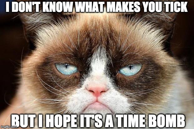Grumpy Cat Not Amused Meme | I DON'T KNOW WHAT MAKES YOU TICK; BUT I HOPE IT'S A TIME BOMB | image tagged in memes,grumpy cat not amused,grumpy cat | made w/ Imgflip meme maker