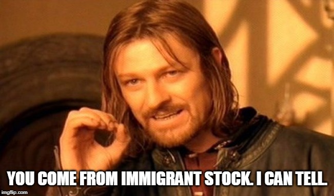 How can you tell? | YOU COME FROM IMMIGRANT STOCK. I CAN TELL. | image tagged in memes,one does not simply,immigrant,racist | made w/ Imgflip meme maker